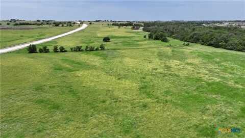 Tbd Lot 2 FM 1105, Georgetown, TX 78626