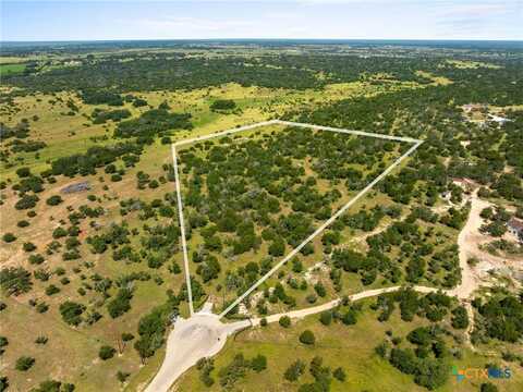195 Buck Rabbit Road, Briggs, TX 78608