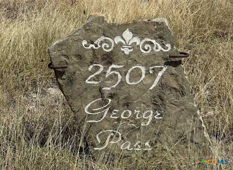 2507 George Pass, Canyon Lake, TX 78133