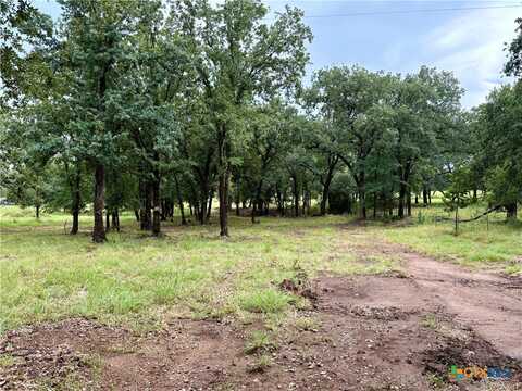308 Old Waco Road, Gatesville, TX 76528