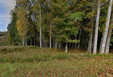 Pine Meadow Drive, Travelers Rest, SC 29690