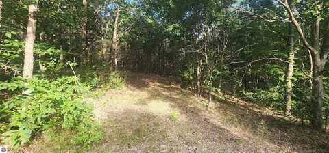 00 W Phelps Road, Manton, MI 49663