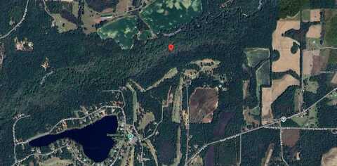 COUNTRY CLUB DR, Bonifay, FL 32425
