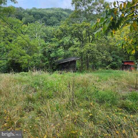 2445 BEAR WALLOW HOLLOW ROAD, AUGUSTA, WV 26704