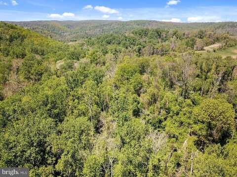 BLUE RIDGE - LEEDS MANOR ROAD, DELAPLANE, VA 20144