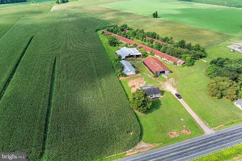25699 AUCTION ROAD, FEDERALSBURG, MD 21632
