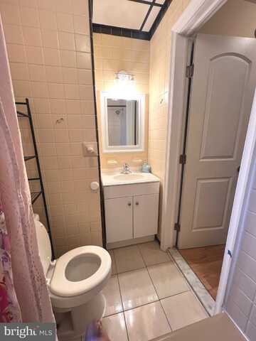 119 TREE STREET, PHILADELPHIA, PA 19148