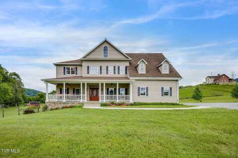 675 Poteat Lane, Fall Branch, TN 37656