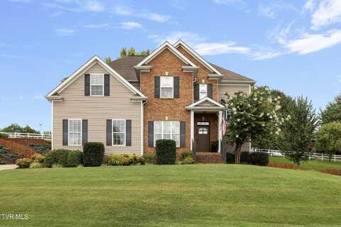 220 Ridgeview Meadows Drive, Johnson City, TN 37615