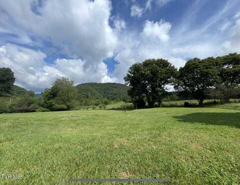 111 Laura Bowers Road, Elizabethton, TN 37643
