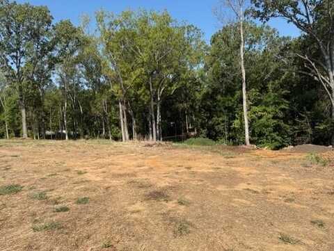 India Rd. Lot 2, PARIS, TN 38242
