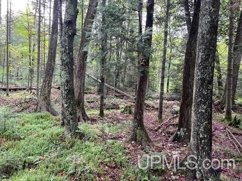 TBD Cable Lake, Amasa, MI 49903