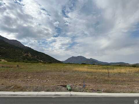 undefined, Santaquin, UT 84655