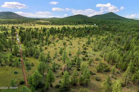 000 Dipping Vat Spring Fire Road, Vernon, AZ 85940