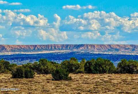 Tbd Sanders Lot B 127.5 Acres, Sanders, AZ 86512