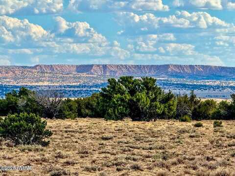 Tbd Sanders 255 Acres, Sanders, AZ 86512