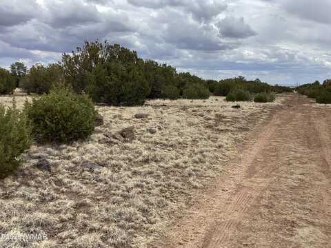 207 8056, Concho, AZ 85924