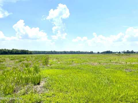 Parcel B Simpson Ditch Rd, Elizabeth City, NC 27909