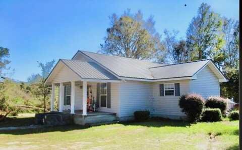3395 Mount Vernon Rd, Soperton, GA 30457