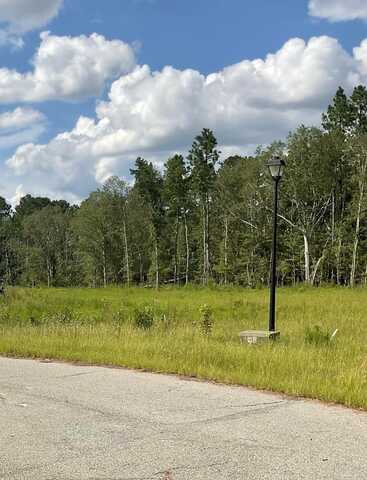 00 Lots 9 & 10 Hidden Hills, Vidalia, GA 30474