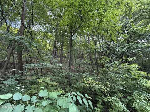 Lot 20 Kittanning (Overland Pass) Run, Claysburg, PA 16625
