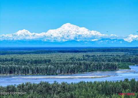 13745 E Wilderness Rim Road, Willow, AK 99688