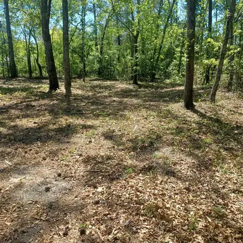169 Courtney Road, Trenton, SC 29847