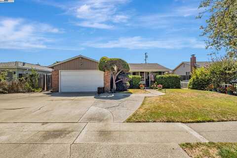40575 Blacow Road, Fremont, CA 94538