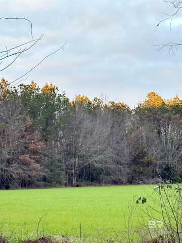 0 Ward Road, Frisco City, AL 36445