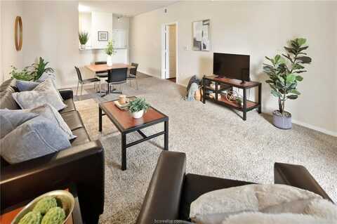 117 Holleman Drive, College Station, TX 77840