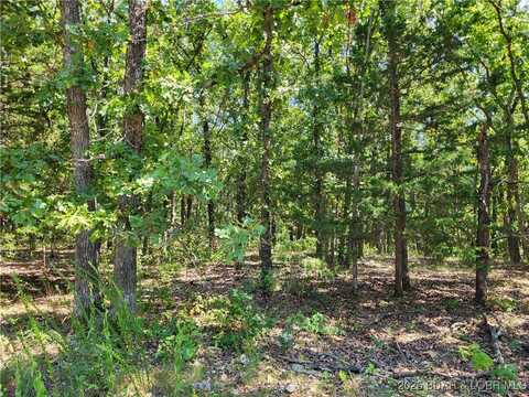 Trinchera Road unit: 3944 & 3945, Edwards, MO 65326
