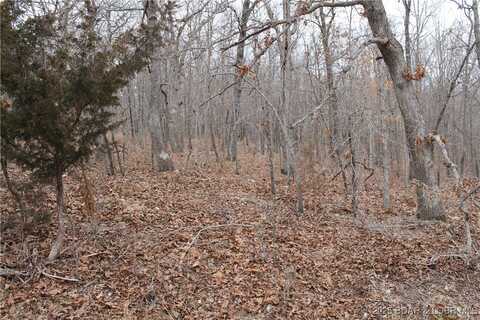 Bogardus Road unit: 2677, Edwards, MO 65326