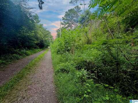0 MERRILTON ROAD, JACKSONVILLE, AL 36265