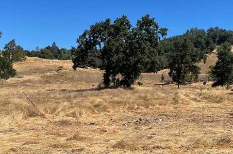 355 Lewis Avenue, San Andreas, CA 95249