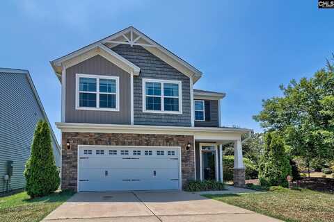 806 Bergenfield Lane, Chapin, SC 29036