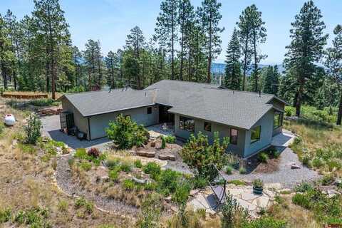 1523 Silver Mesa Driveway, Durango, CO 81301