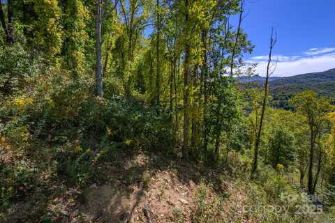 Silver Fox Lane lot: 27, Banner Elk, NC 28604