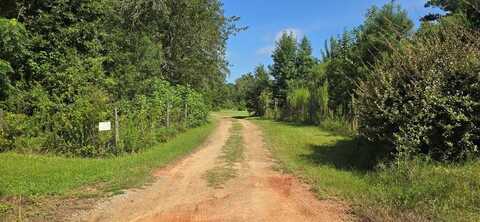 4739 Wallace Buie Rd, Webb, AL 36376