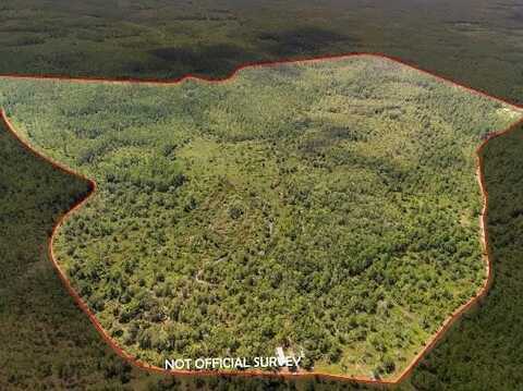 Partin Rd, Bronson, FL 32621
