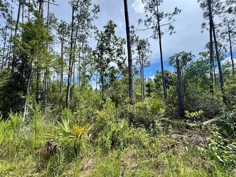 3410 661st St, Steinhatchee, FL 32359