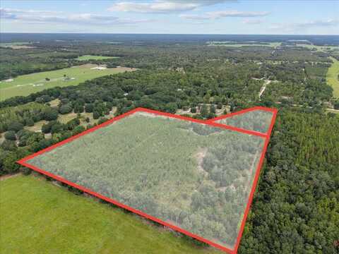 3670 25th Cir, Bell, FL 32619