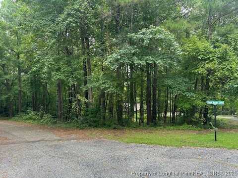 162 Woodwedge Way, Sanford, NC 27332