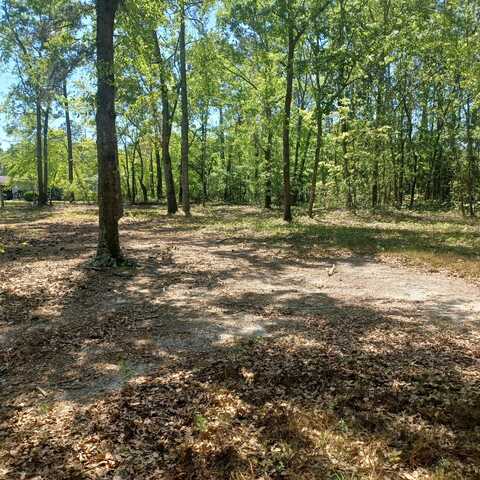 169 Courtney Road, Trenton, SC 29847