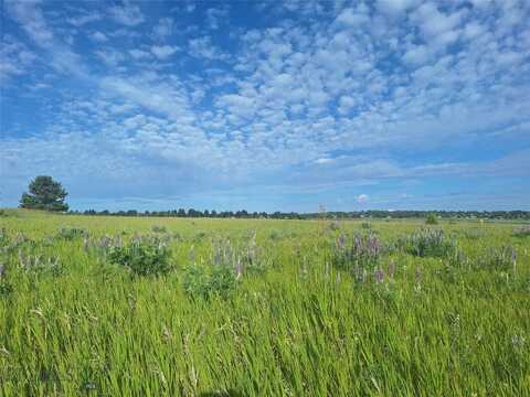 125 Blossom Way, Bozeman, MT 59715