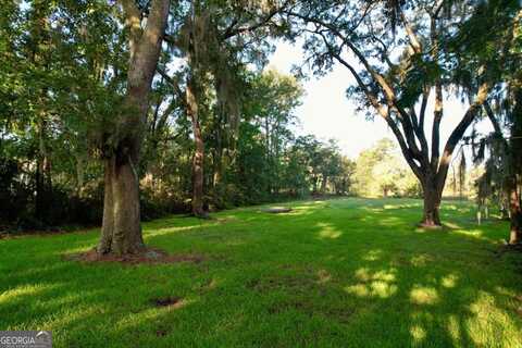 Lot 2 Oak Island, Midway, GA 31320