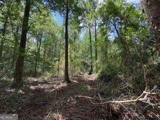 Lot 17 Smith, Thomaston, GA 30286