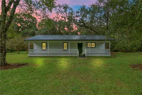 68 Smylies Lane NE, Ludowici, GA 31316