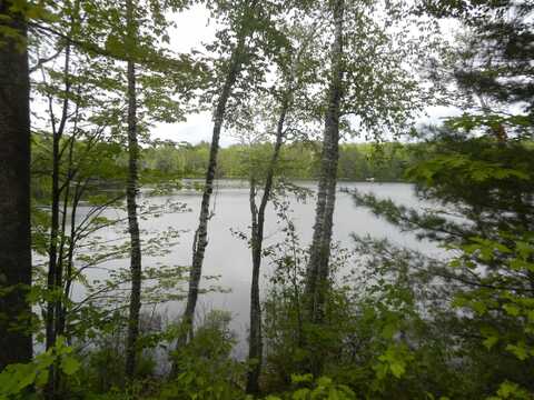 6120 CLAIRE FIRE RD, Land O Lakes, WI 54540