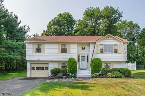 39 Lefke Ln, Hanover Twp., NJ 07981