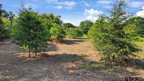181 PR 6519, Canton, TX 75103